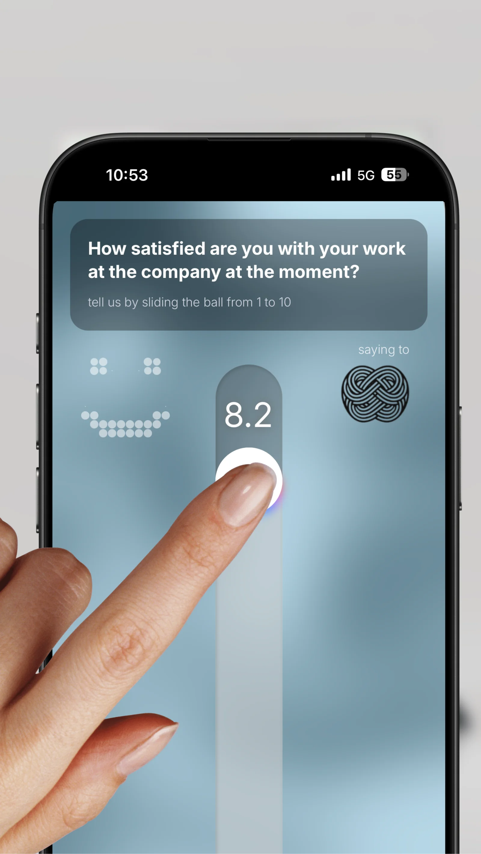 Satisfaction rating on a 1-10 scale with slider